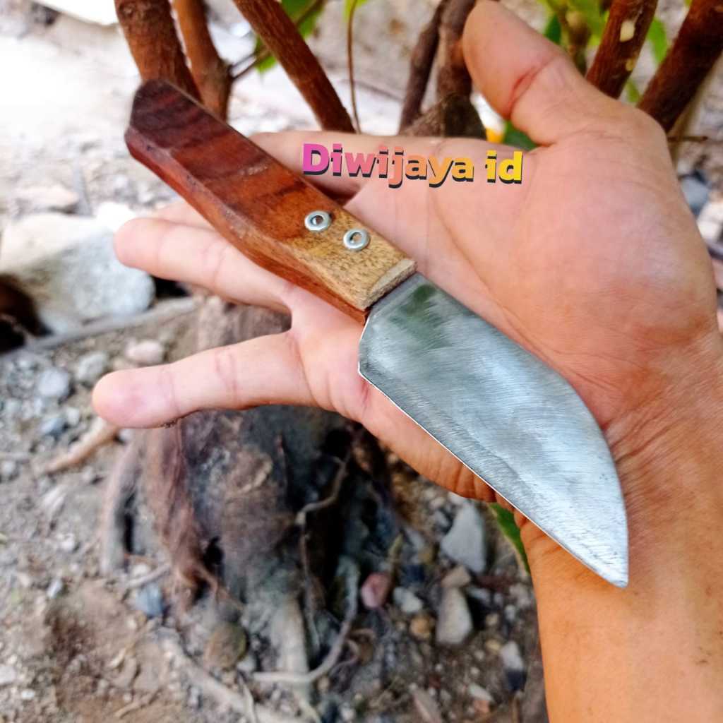Datar Grafting tool Pisau Okulasi Pruning Tanaman Bonsai - Pisau Serut Bambu Layang Layang - Pisau S