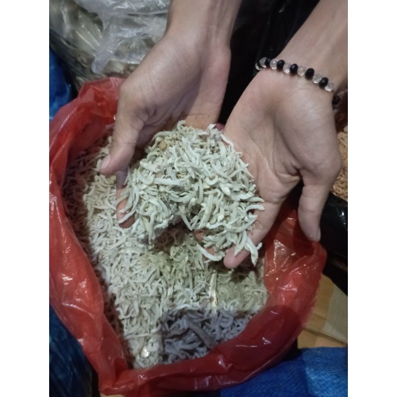 

ikanterinasi