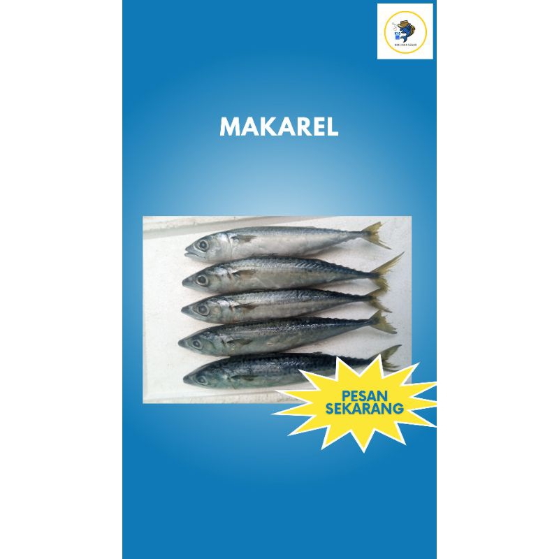 

Ikan Salem Makarel segar 500gram