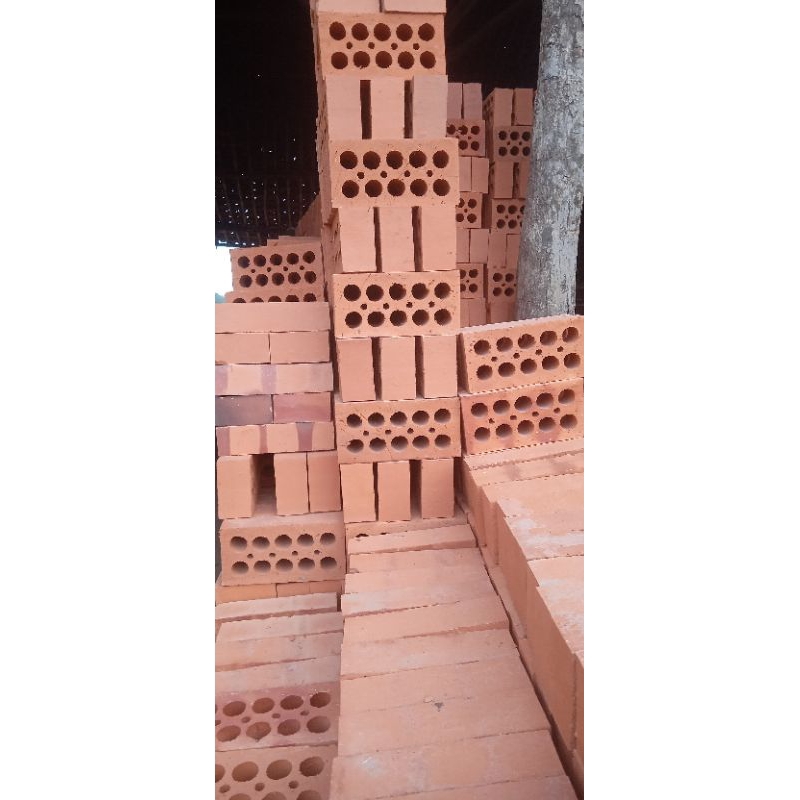 Bata merah bolong /bata expose