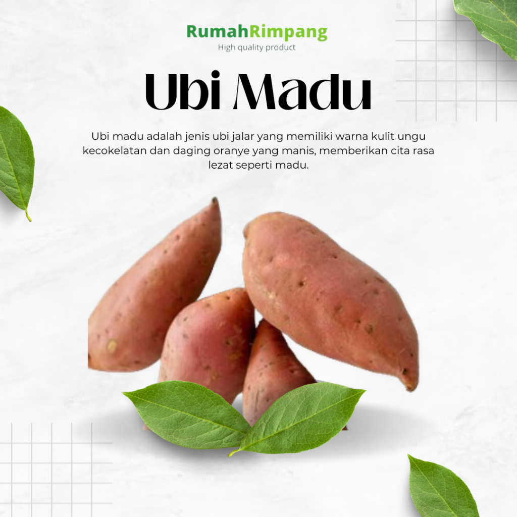 

[BISA INSTAN] JUAL UBI MADU - KEMASAN 1 KG