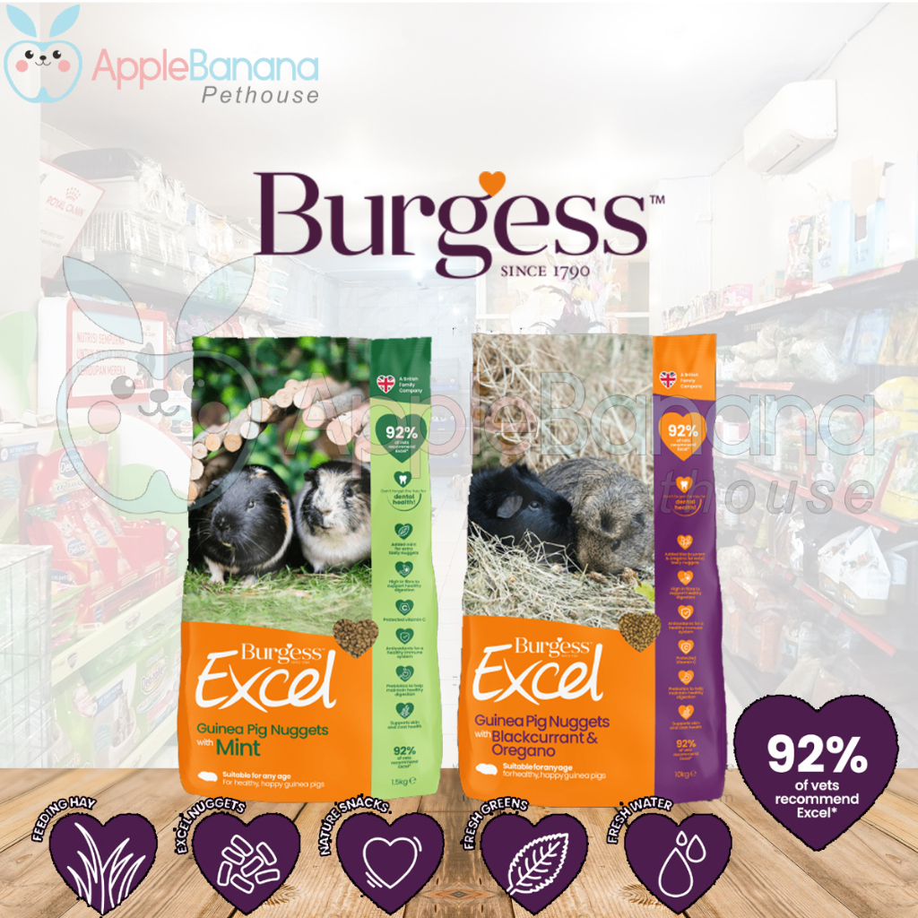 Ready Burgess Guinea Pig 15 Kg - Makanan Guinea Pig Burgess - Pelet Marmut - Burgess Guinea Pig Mint