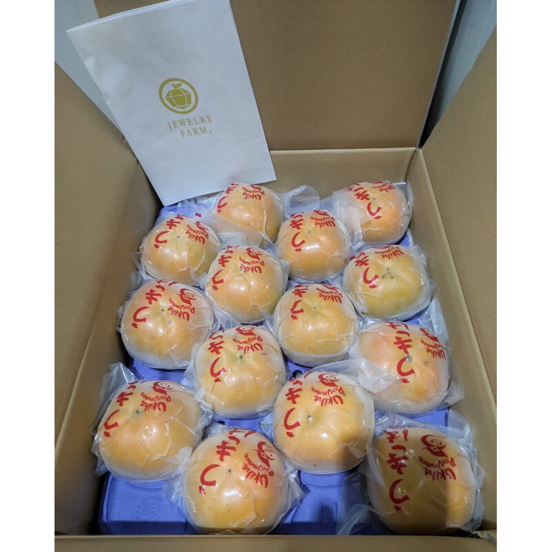 

Buah Persimmon / Kesemek Ukiha Japanese 1 Dus (7.5 KG) Fresh Import