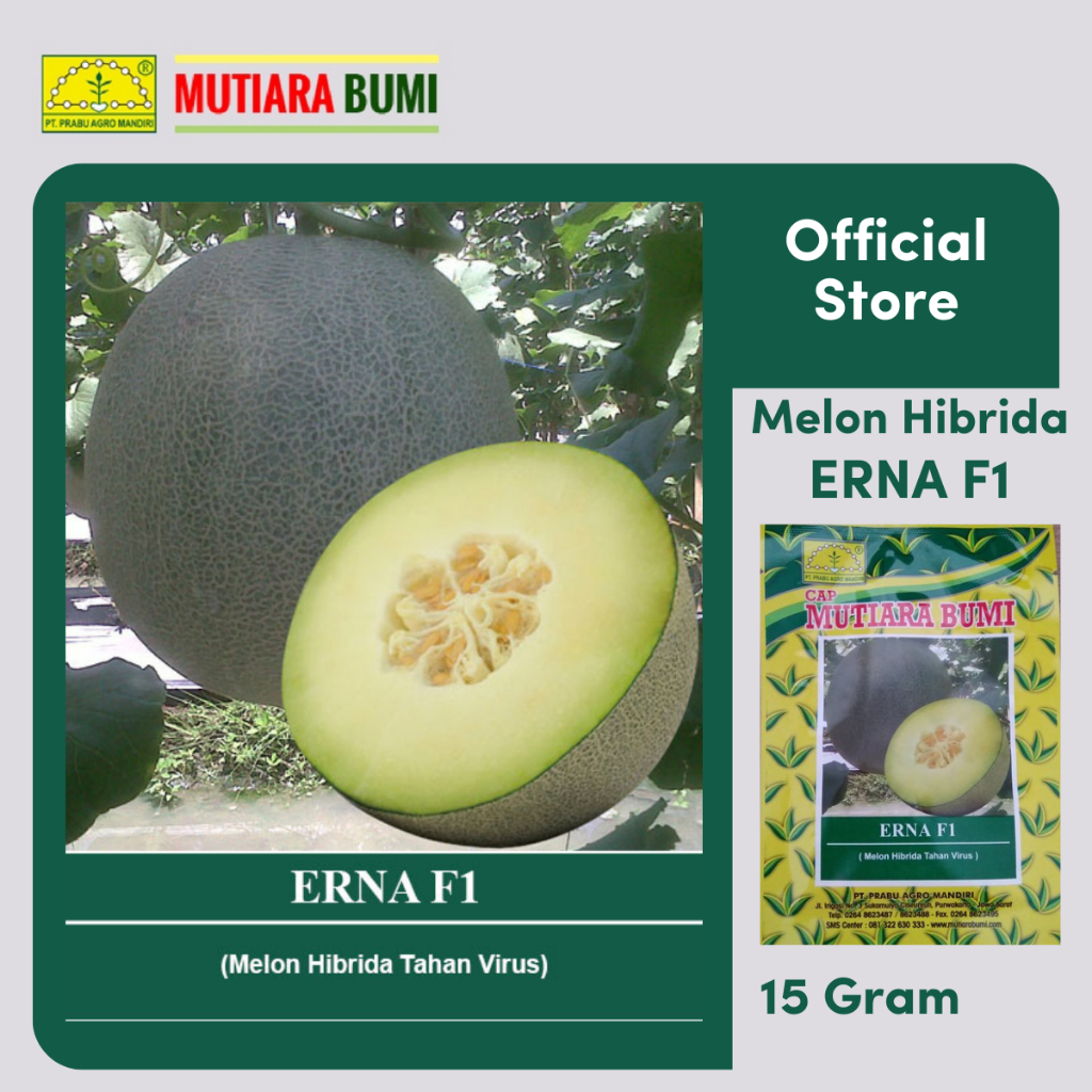 BENIH MELON ERNA HIBRIDA TAHAN VIRUS 15 GRAM CAP MUTIARA BUMI