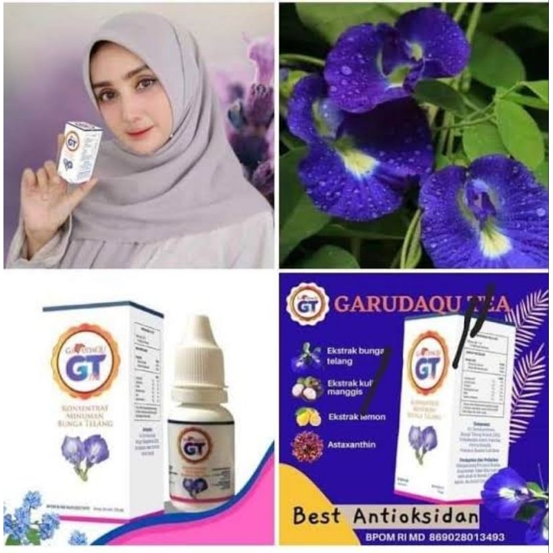 

GT Garudaqu teh biru bunga telang Diabetes, Jantung, Katarak dll