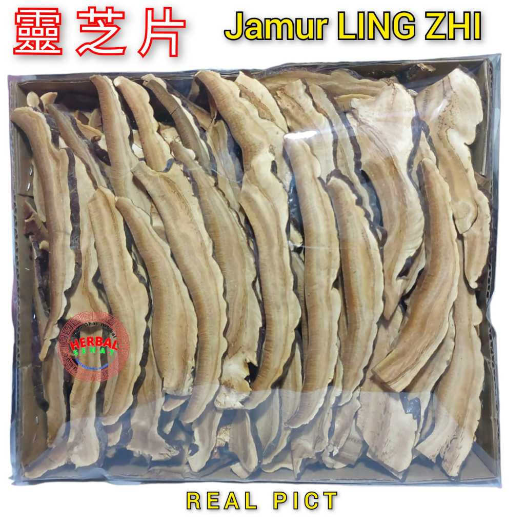 

Jamur Lingzhi Ling Zhi 300 Gram Grade A 赤灵芝片