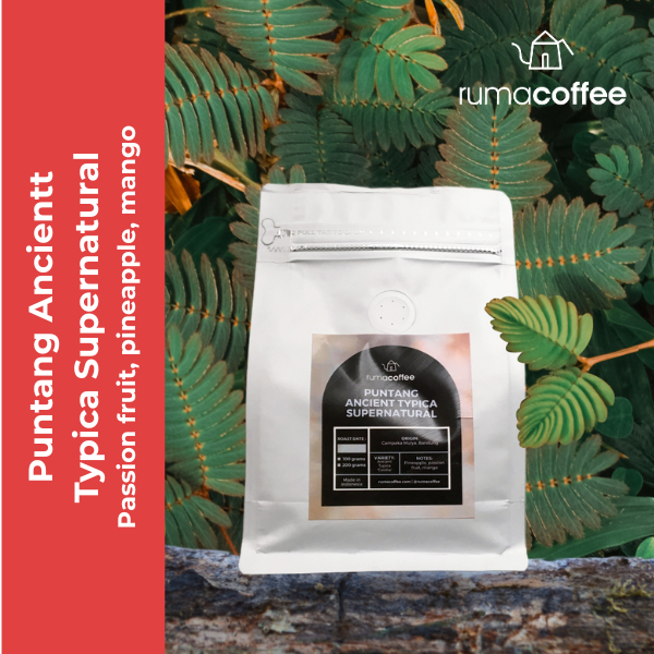 

Puntang Ancient Typica Supernatural Kopi Sunda Arabica Coffee Rumacoffee