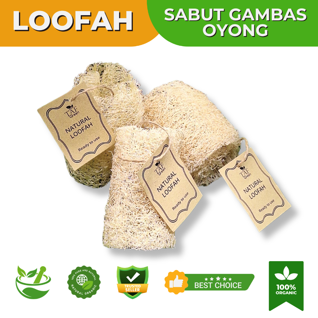 LOOFAH SABUT GAMBAS OYONG Scrub Mandi Alami Spons Cuci Piring Natural Spons Multifungsi