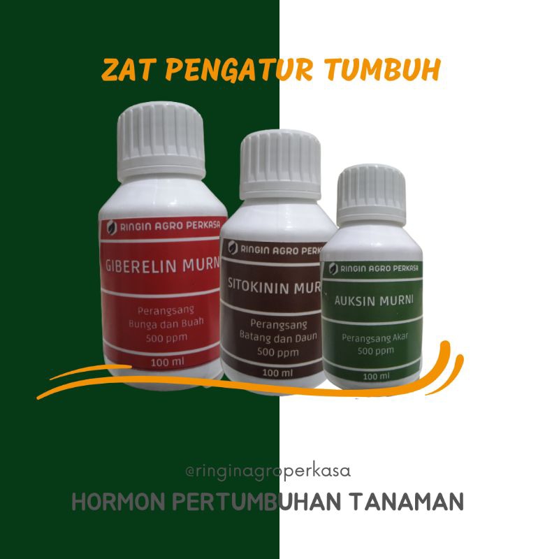 Hormon Auksin, Sitokinin, Giberelin