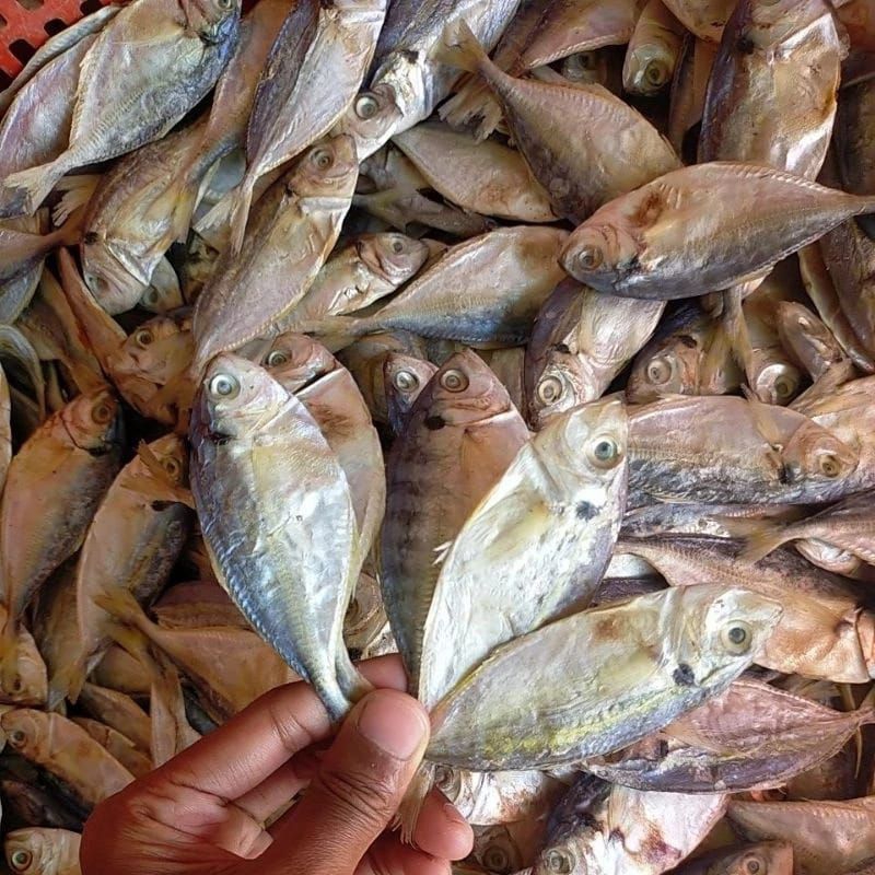 

ikan asin selar, ikan asin, ikan asin murah, ikan kering,