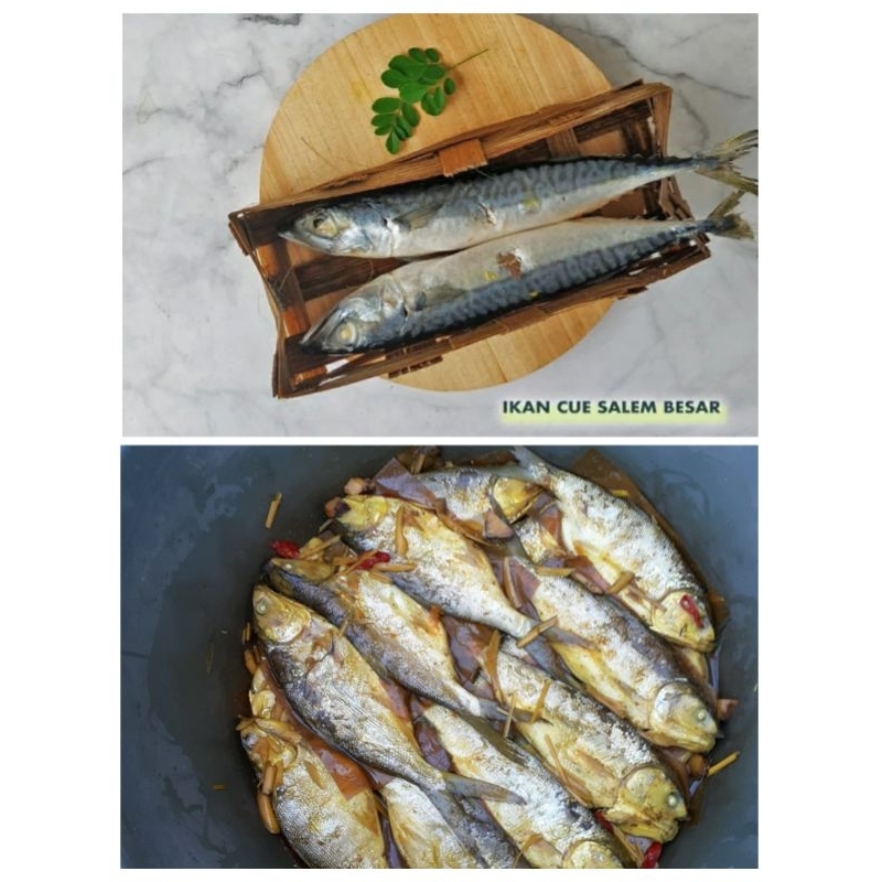 

Ikan Cue Salem Besar | Ikan Pindang Bandeng - 1 pak isi 2