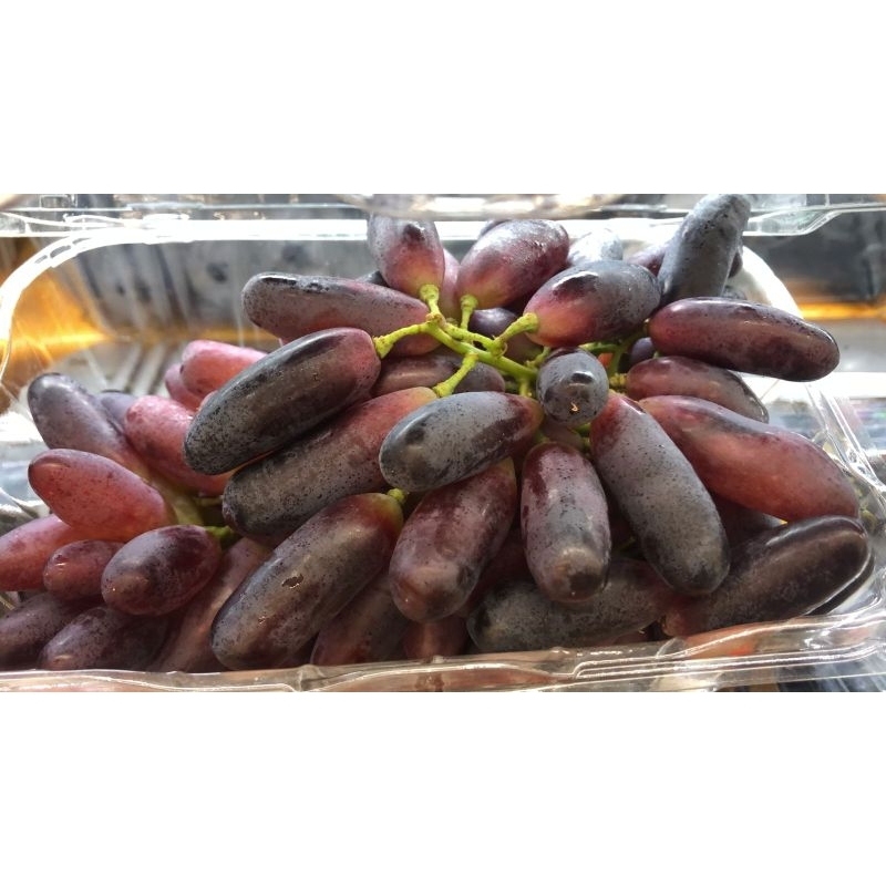 

Buah Anggur Mondroop Fresh 500 Grm