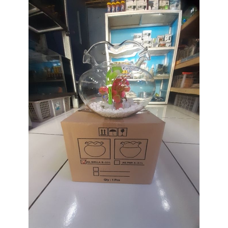 akuarium kaca bulat 3.5L
