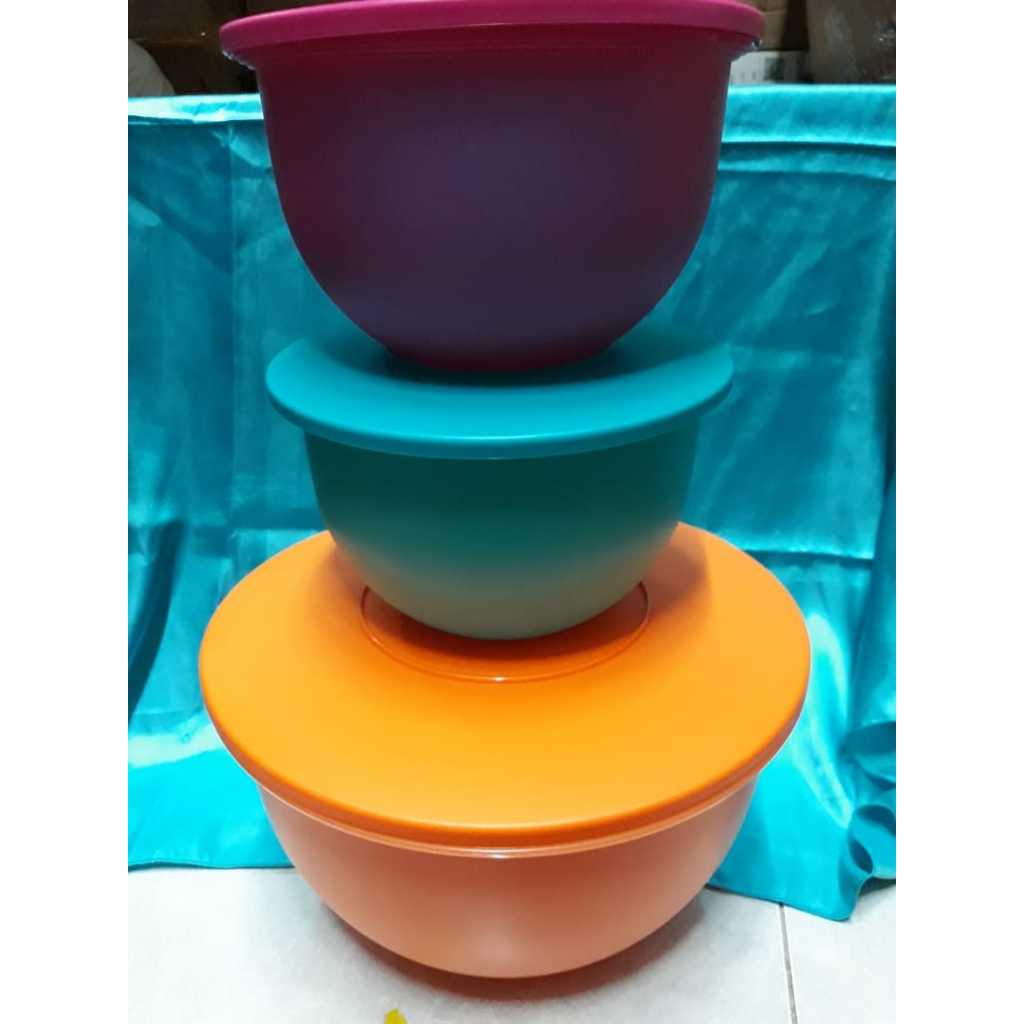expresion bowl bowl besar tupperware