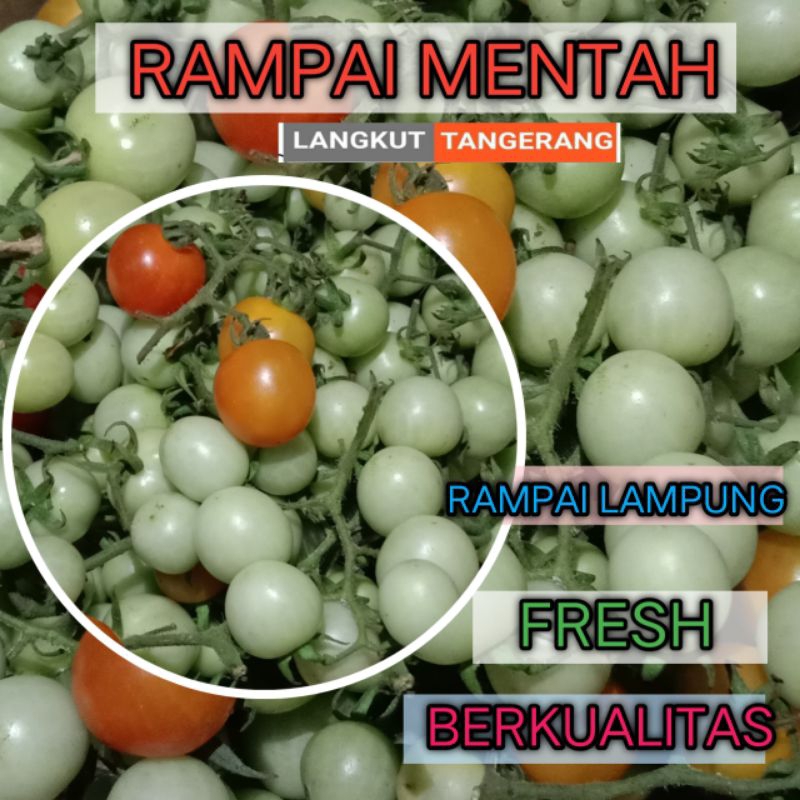 

RAMPAI LAMPUNG MENTAH SEGAR (PACKING : TIN WALL + KARDUS + BUBBLE WRAP)