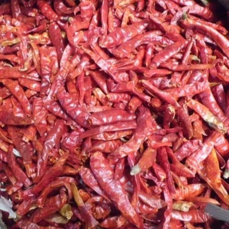 

CABAI RAWIT TEJA KERING/LOMBOK GARING 1 kg