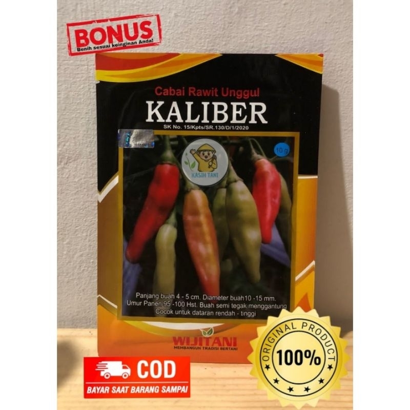 Benih Kaliber dari Wijitani