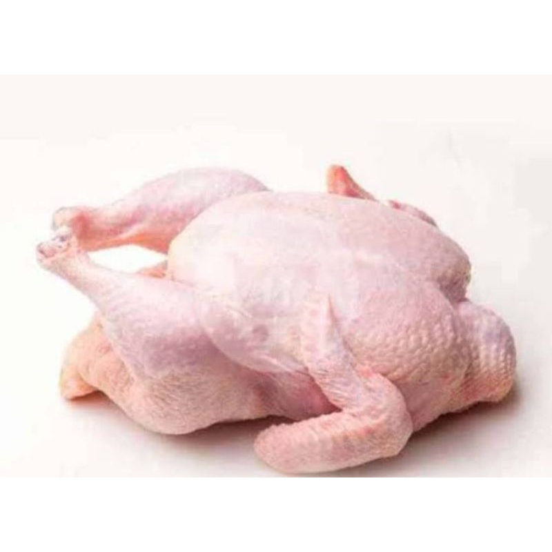 

ayam kecil per ekor ukuran 500/600 gram