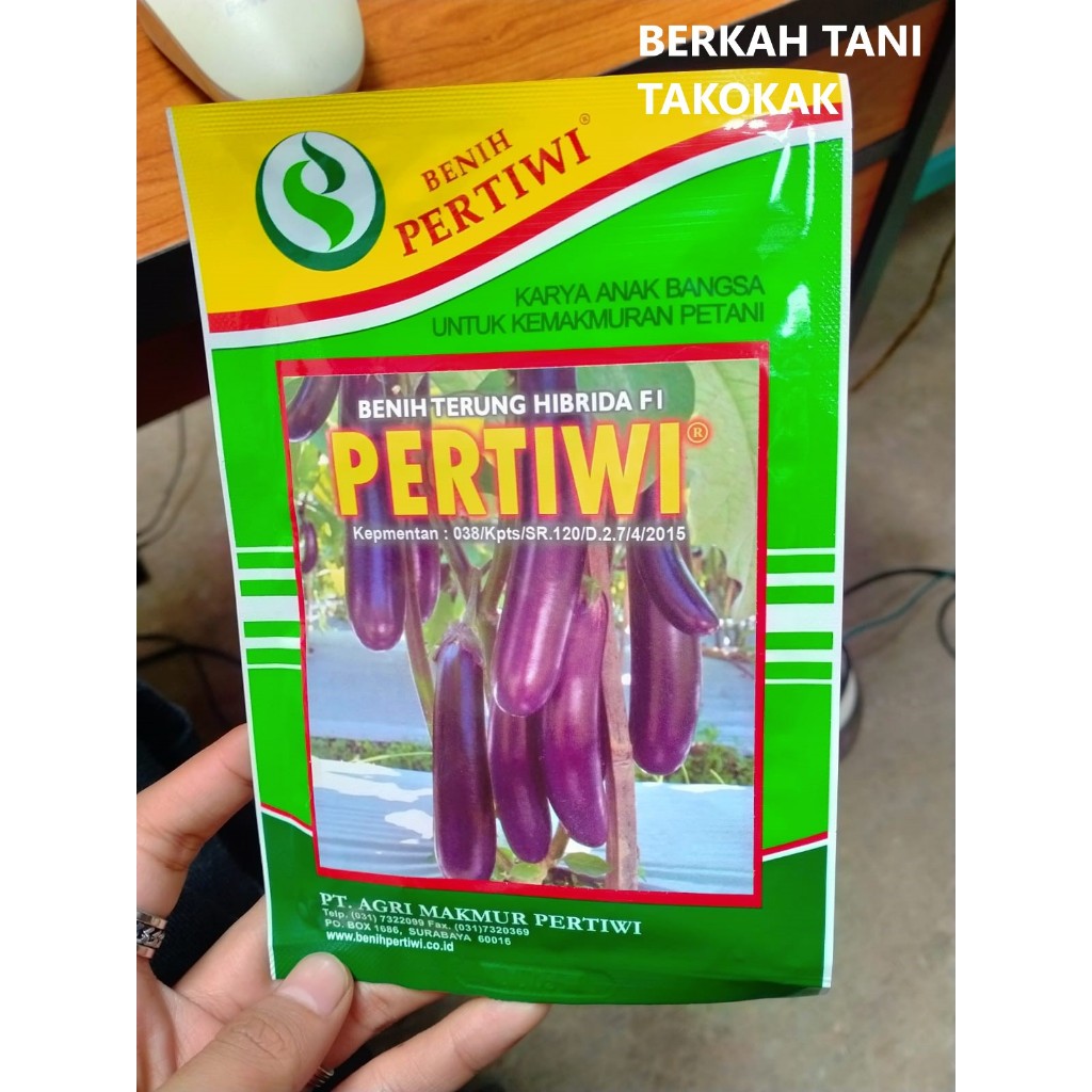 BENIH BIBIT TERONG UNGU HIBRIDA PERTIWI F1 TERUNG PANJANG 10 GRAM