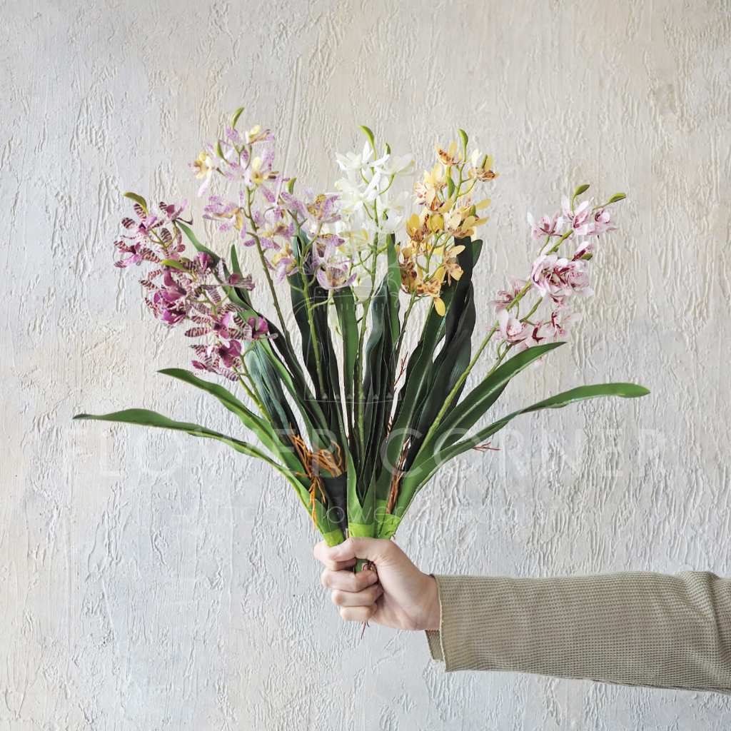 Mini Anggrek Tiger Orchid Latex Premium dengan Daun (B23190)