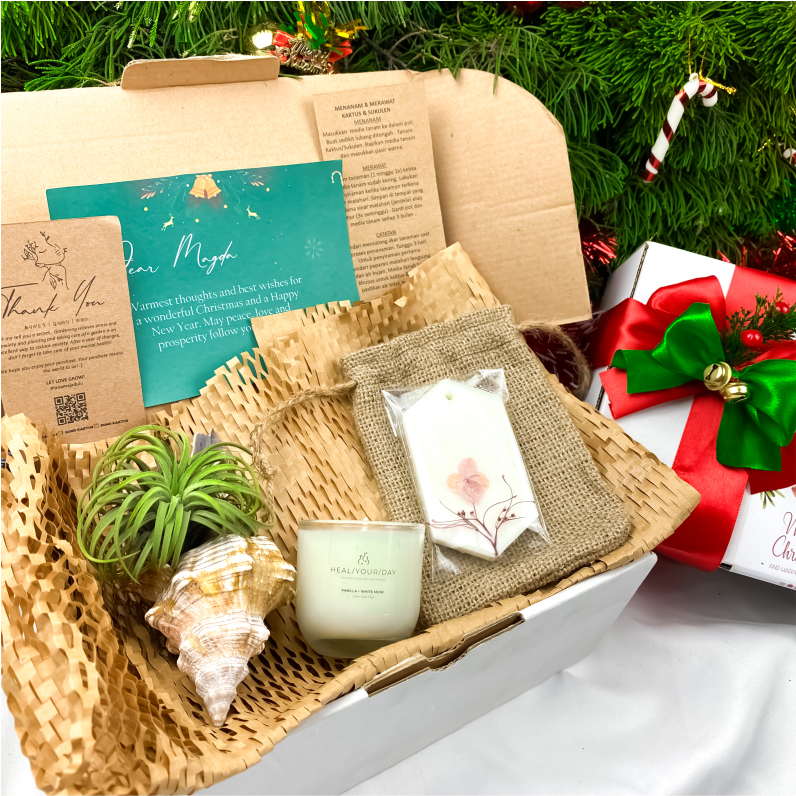 

Hampers Kaktus & Sukulen Hias Mini (Christmas Day) box hampers gift box birthday hampers ulangtahun