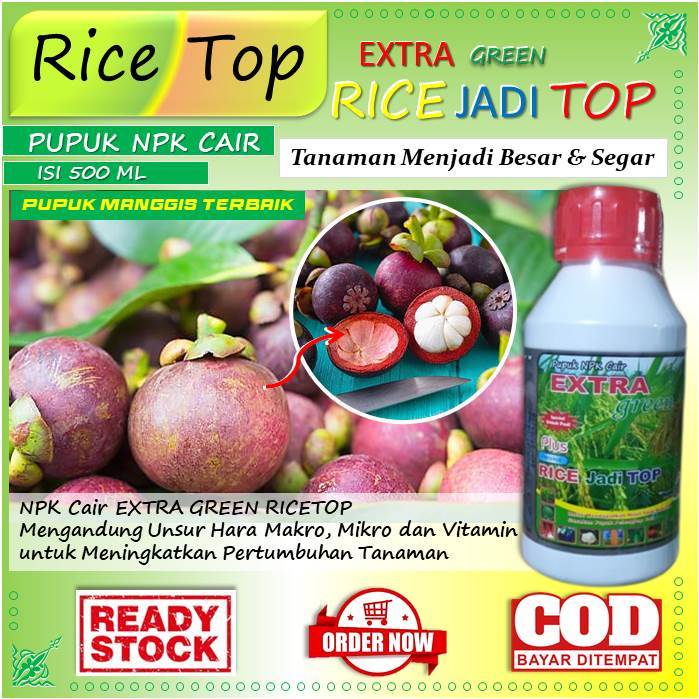 (Pelebat Buah) pupuk cair tanaman manggis - pupuk manggis terbaik - pupuk manggis murah (Rice Top) p