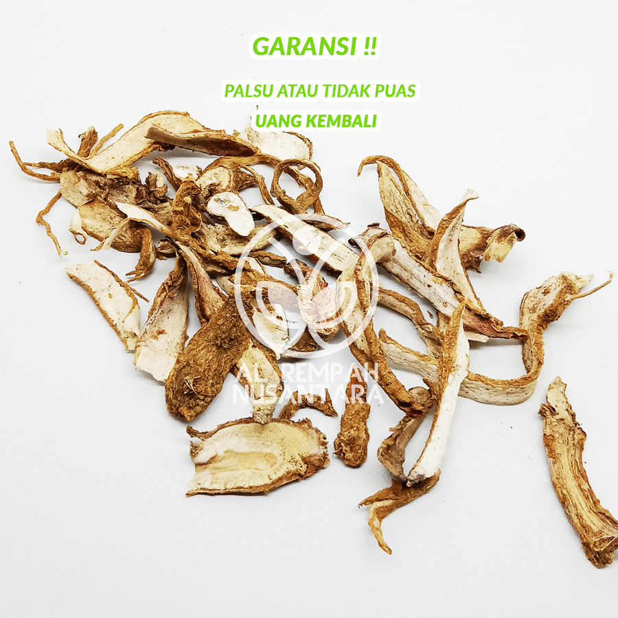 

Akar Ginseng Jawa 100gr / SOM Asli Kering Organik