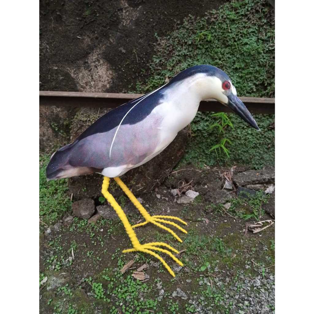 Jontort patung koak abu/koak maling/koak malam