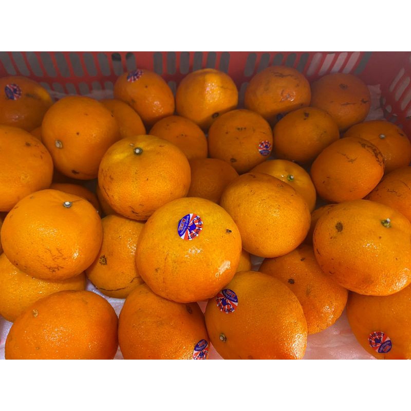 

Jeruk Marcot Segar 500gr