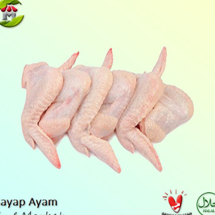 

XJQK3282 Terbaru Sayap Ayam Grade A Kualitas Premium