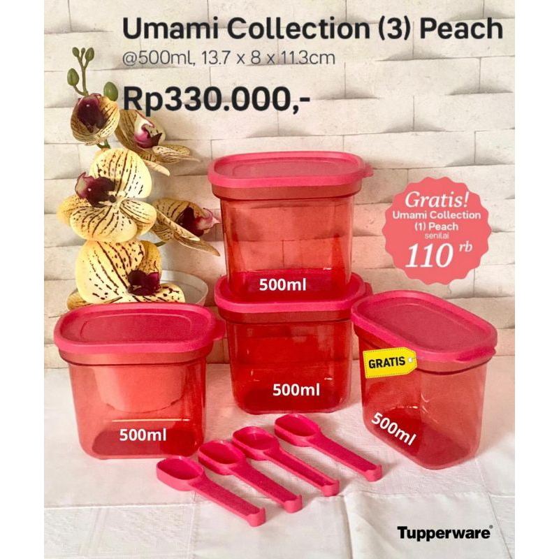 umami collection tupperware