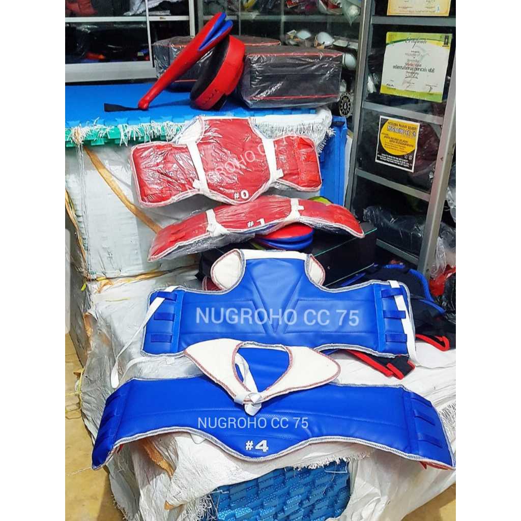 Hugo Body Protector Taekwondo