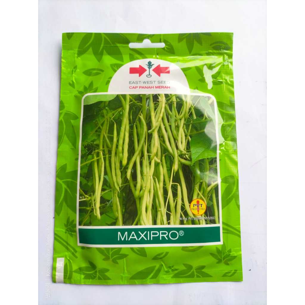 BENIH BUNCIS MAXIPRO CAP PANAH MERAH