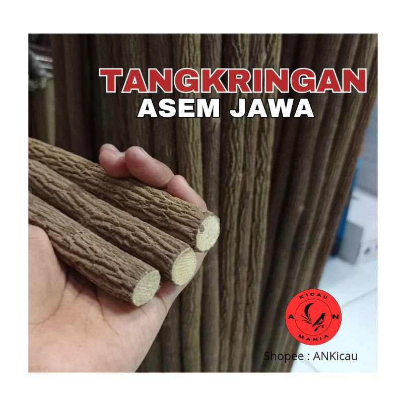 Tangkringan Asem Jawa Super ±63cm /Tetehan Cucak ijo Kenari Murai Kacer Jalak Perkutut dll