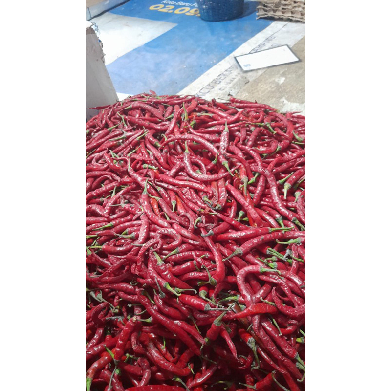 

cabe merah besar