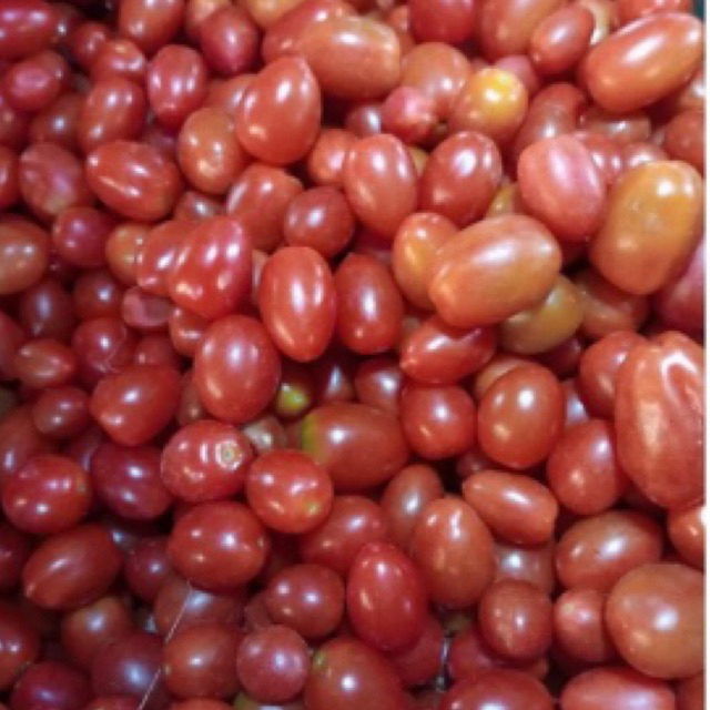 

tomat cery 250 gram Rp 20.000