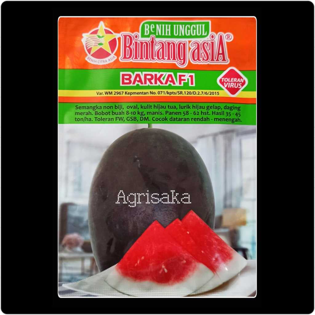 Benih Semangka Non Biji BARKA F1 20 Gram - Bintang asiA