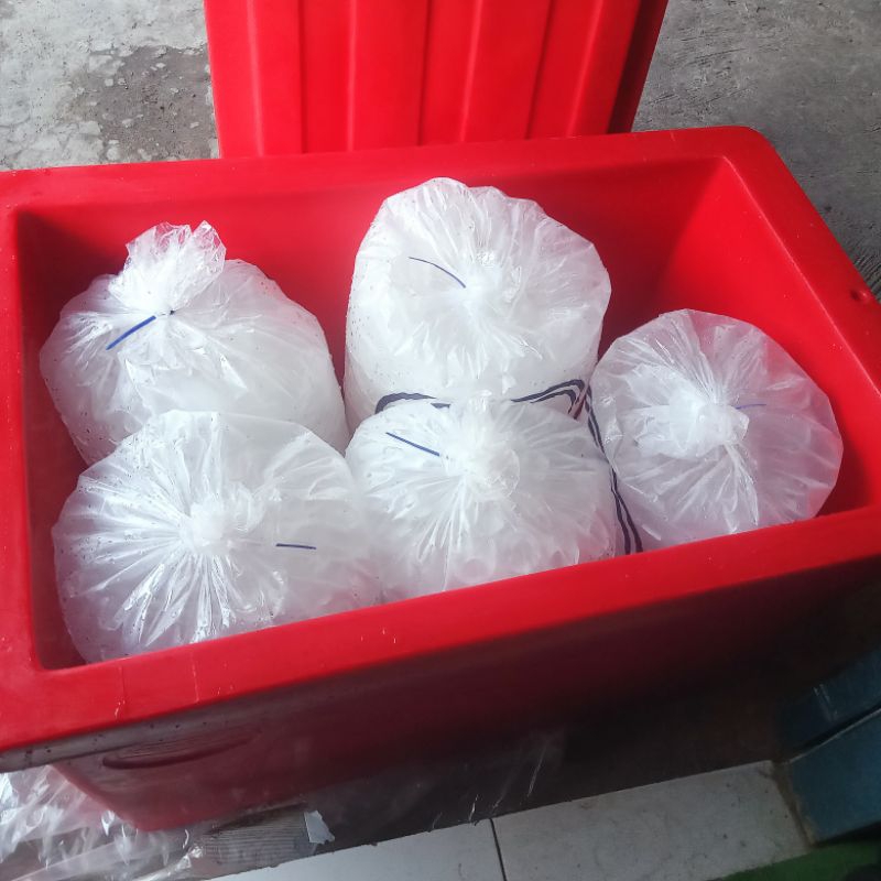 COOL BOX KRISSBOW 120LITER LENGKAP DENGAN LUBANG AIR STEROFOAM BOX BOX IKAN BOX DINGIN BOX BARANG BO