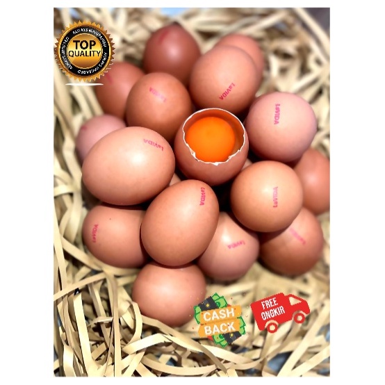 

PPFQ6067 STAR Telur LaVIDA Omega 3 ASLI bukan Suntikan- 30 butir/1 TRAY