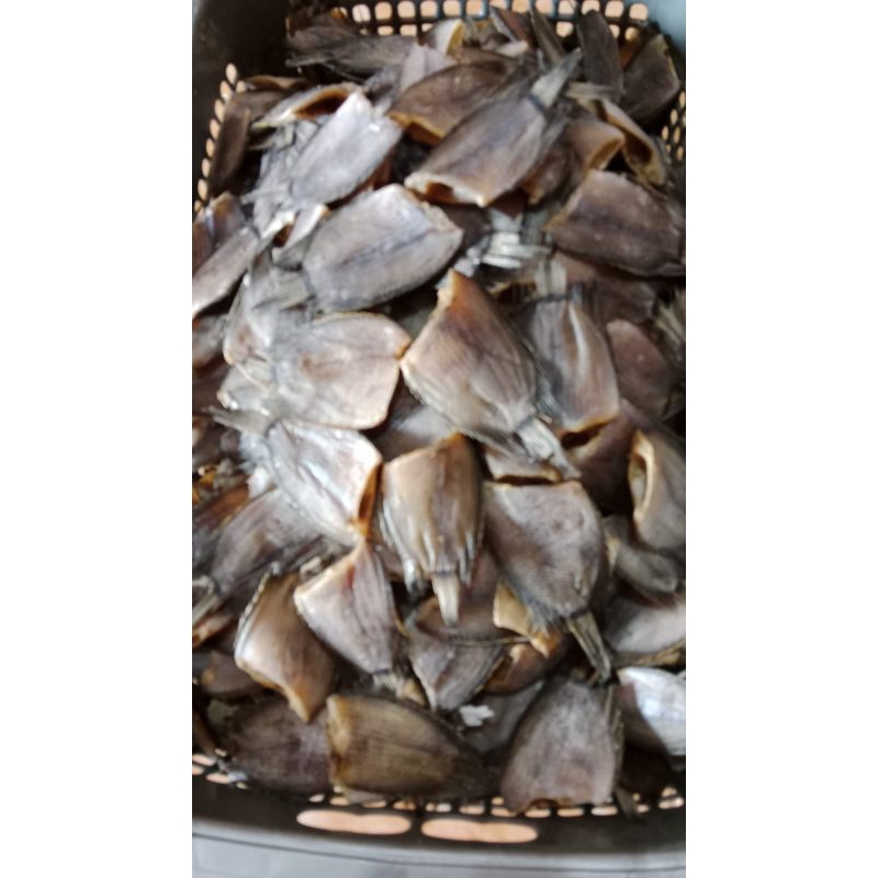 

ikan asin tembakang tanpa kepala 500g