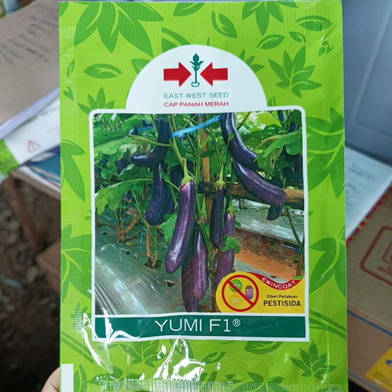 Terong yumi F1 1.100 biji
