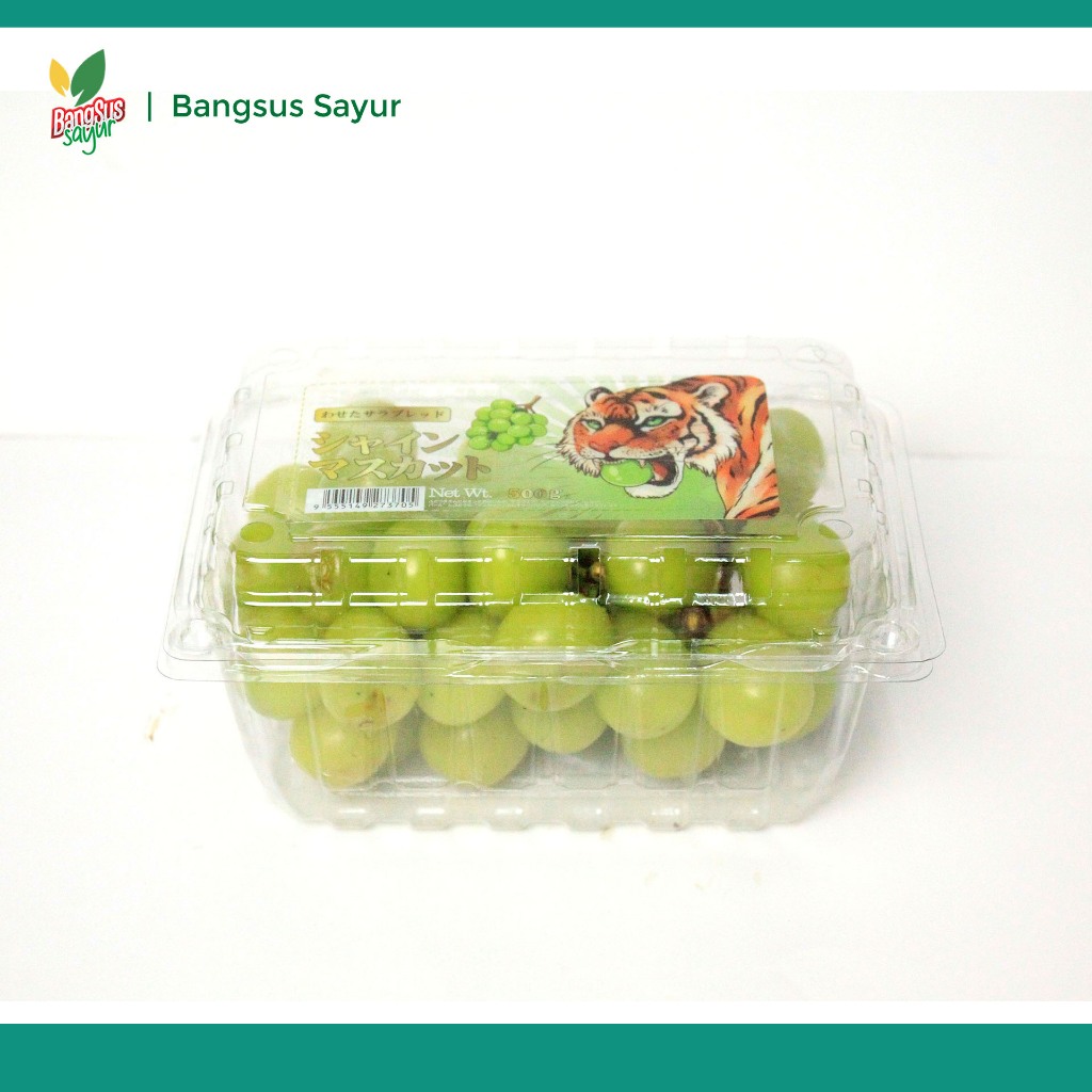 

Anggur Muscat 1Pack Segar Murah