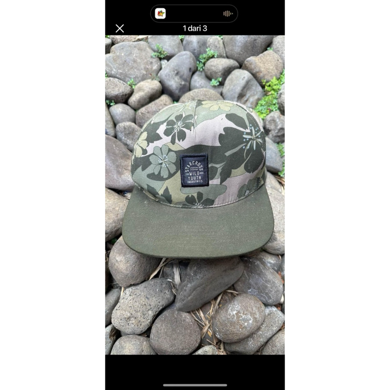 topi starcross