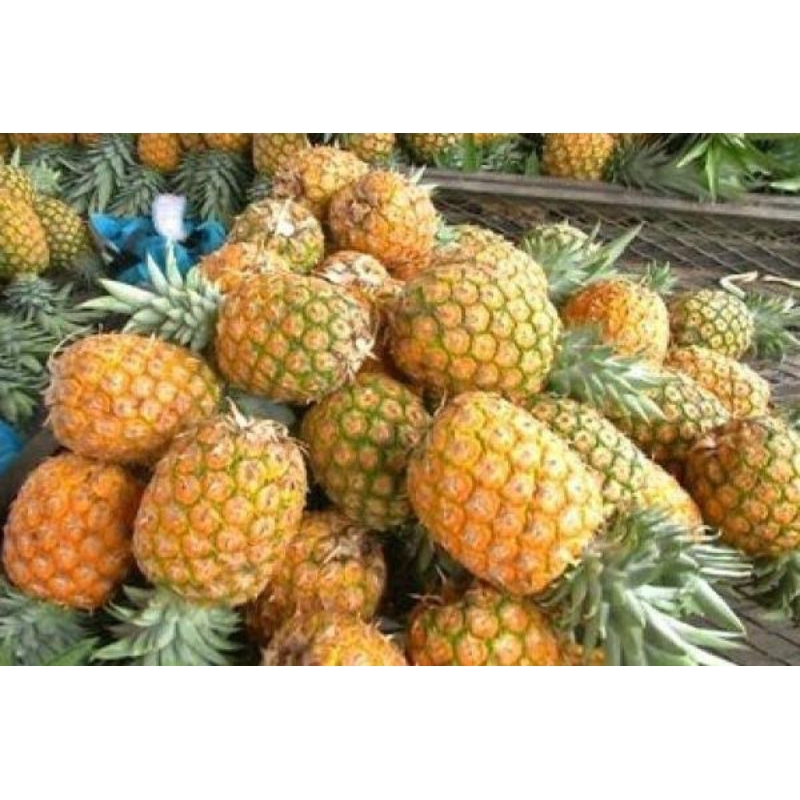 

Buah Nanas