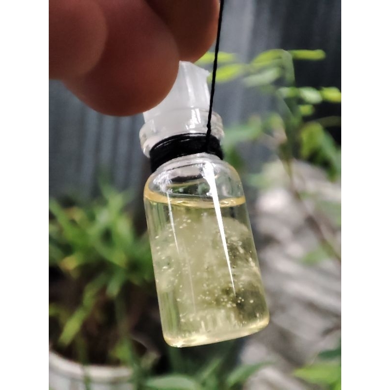 Minyak Sembilan Wali Asli Kalimantan