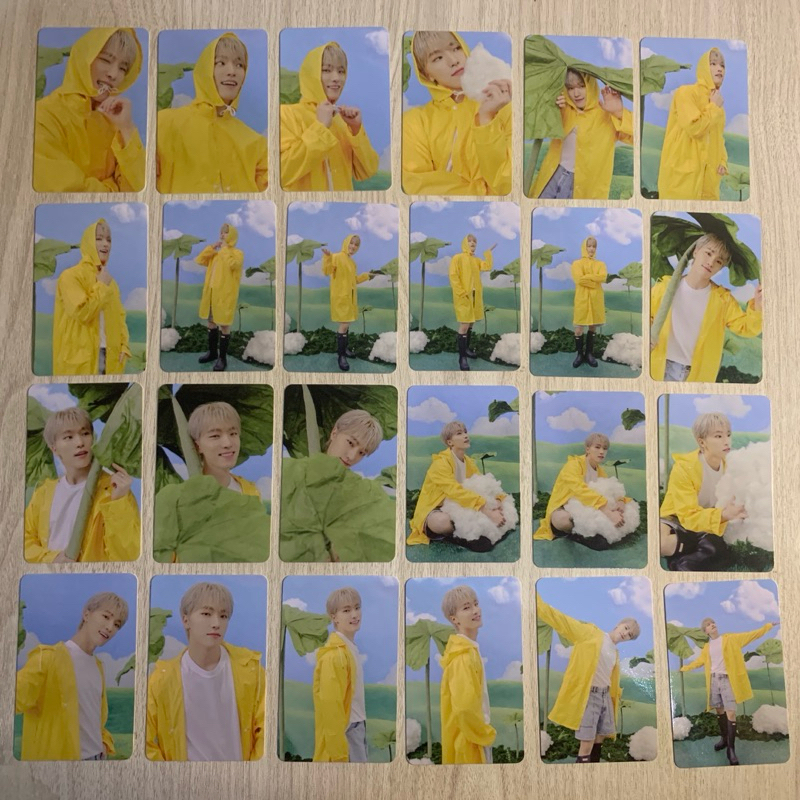 Photocard Seventeen DINO - 17 Heaven (Carver) ~ Official
