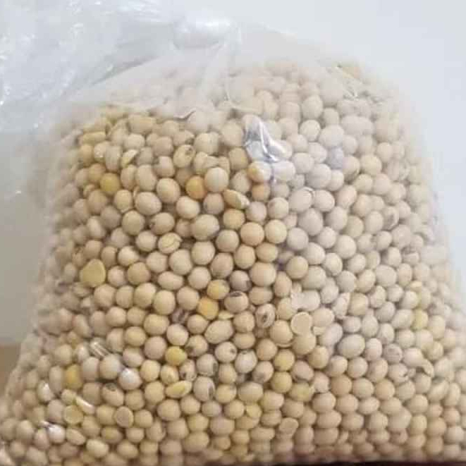 

ORIGINAL KACANG KEDELAI/KACANG LOKAL TERMURAH 500 GRAM