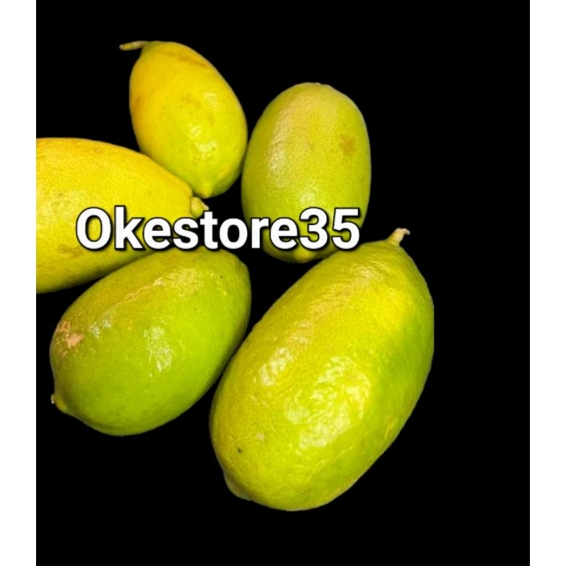 

3 Buah jeruk telur buaya || Limau telur buaya || Citrus medica