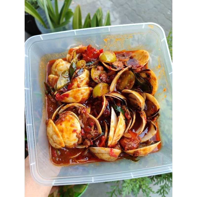

kerang kepa
