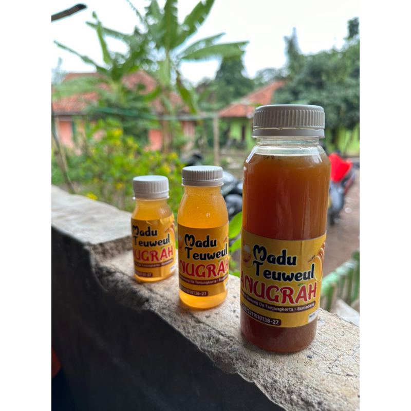 

Madu Asli Lebah Teweul 100ml